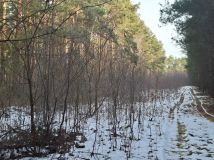 Działka rolna Kręgi Nowe. Zdjęcie 1