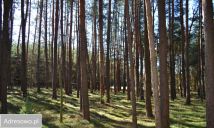 Działka budowlana Osęczyzna. Zdjęcie 1