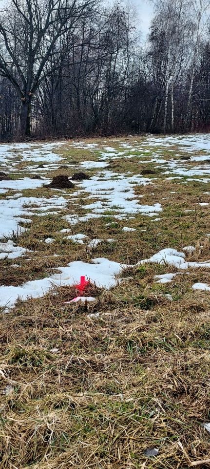 Działka rolno-budowlana Chorągwica. Zdjęcie 7