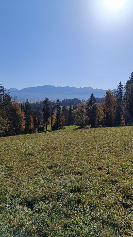 Działka rolna Suche. Zdjęcie 6