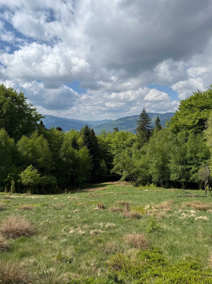 Działka rolna Wilkowice Magurka. Zdjęcie 4