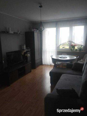 Mieszkanie 2-pokojowe Toruń, ul. Owsiana. Zdjęcie 1