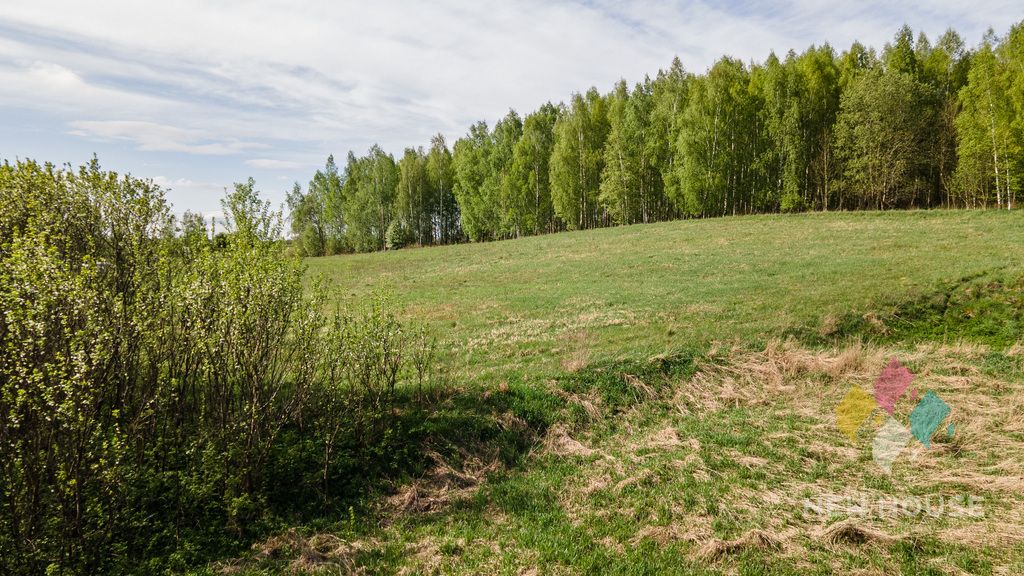 Działka Potryty. Zdjęcie 16