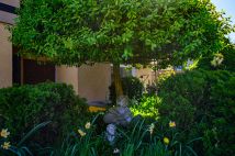 dom wolnostojący, 15 pokoi Stegna, ul. Romana Dmowskiego. Zdjęcie 1