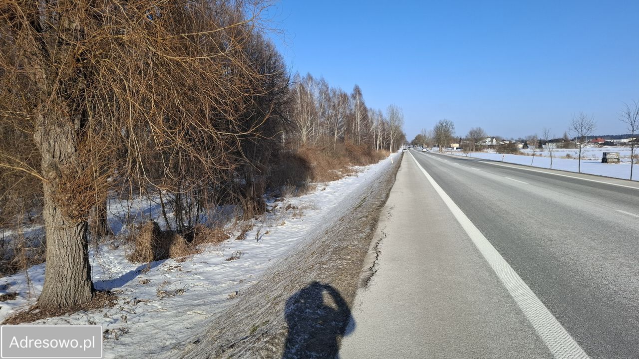 Działka rolna Dobrut. Zdjęcie 7