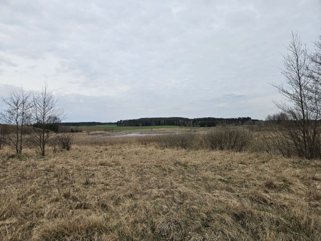 Działka rolna Nowy Dwór. Zdjęcie 3