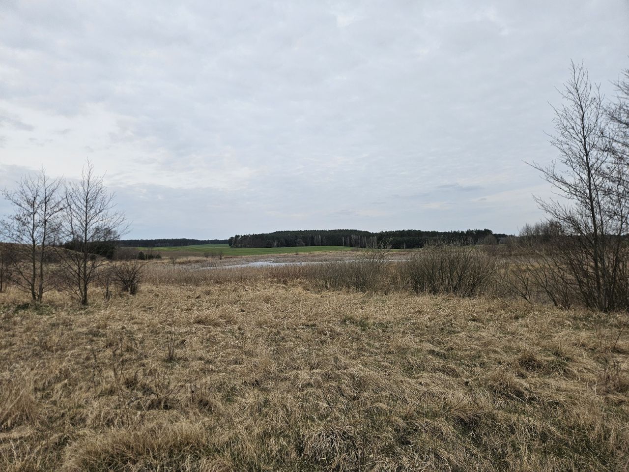 Działka rolna Nowy Dwór. Zdjęcie 3