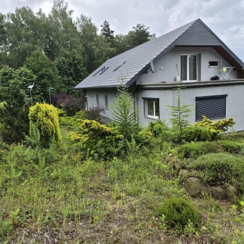 dom wolnostojący, 8 pokoi Bukowina Sycowska. Zdjęcie 35