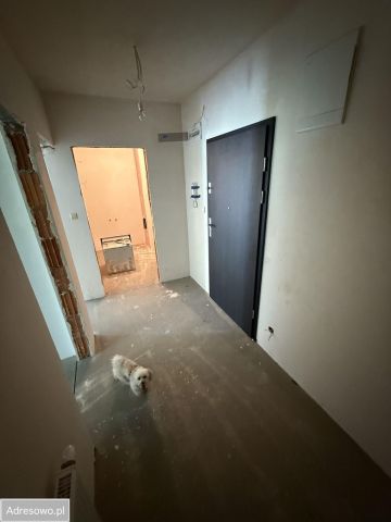 Mieszkanie 2-pokojowe Lubań, ul. Królowej Jadwigi. Zdjęcie 3