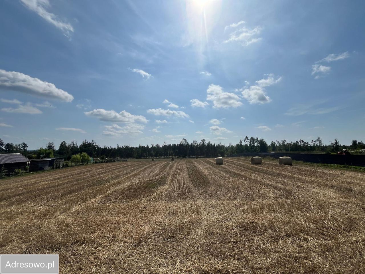 Działka rolno-budowlana Jeziorki. Zdjęcie 5