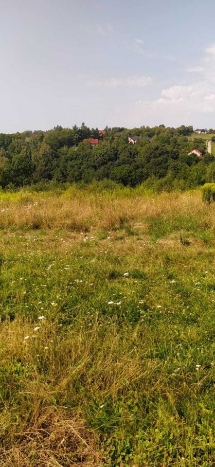 Działka Biały Kościół. Zdjęcie 1