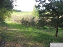 Działka rolna Giby. Zdjęcie 1