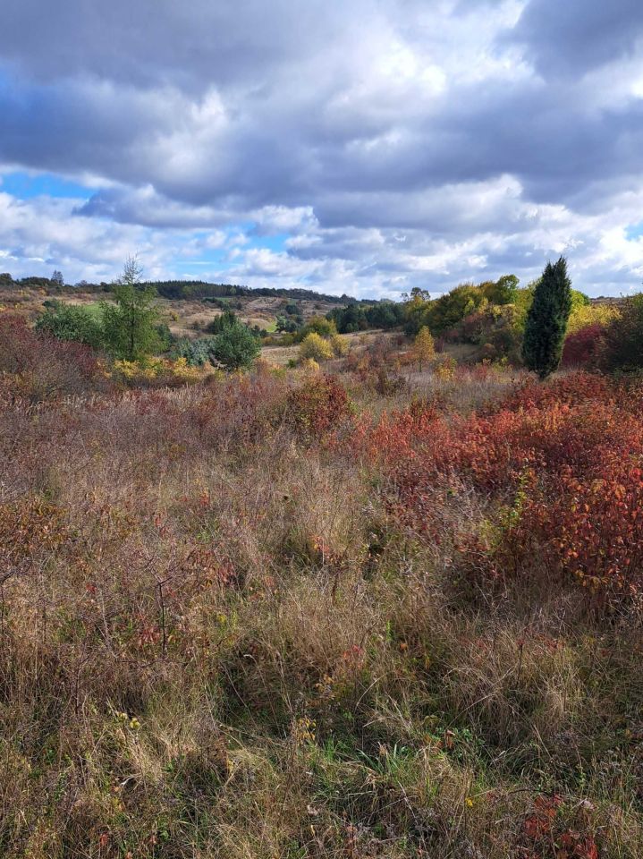 Działka rolno-budowlana Kolbark. Zdjęcie 3