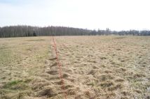 Działka rolno-budowlana Krzeszów. Zdjęcie 3