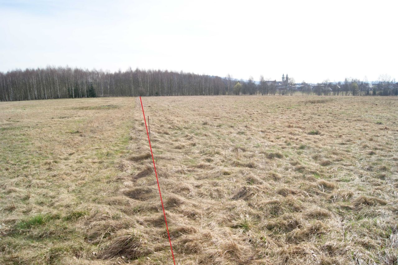 Działka rolno-budowlana Krzeszów. Zdjęcie 4