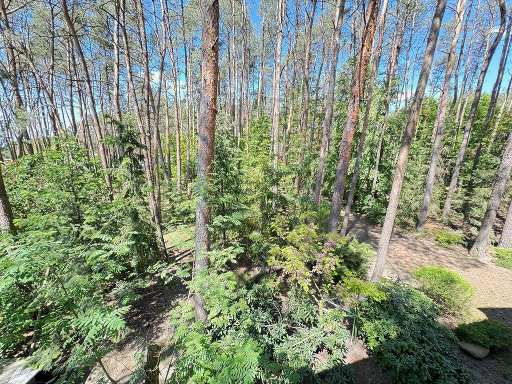 dom wolnostojący, 4 pokoje Ostrowsko. Zdjęcie 3