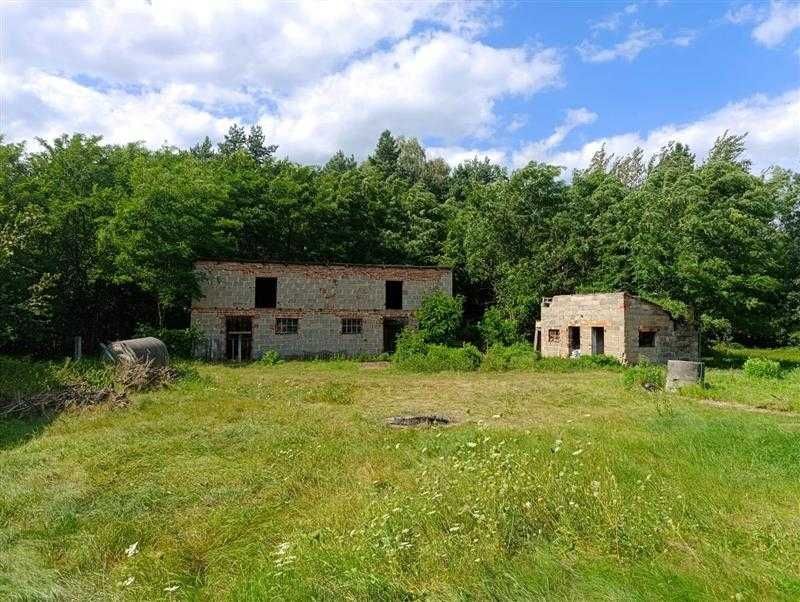 Działka rolno-budowlana Siedlików. Zdjęcie 4