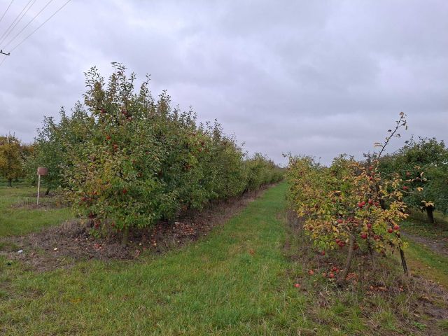 Działka rolna Kamionka. Zdjęcie 1