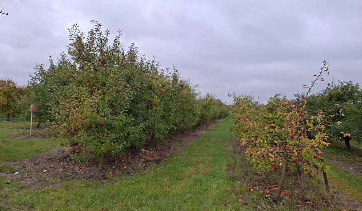 Działka rolna Kamionka