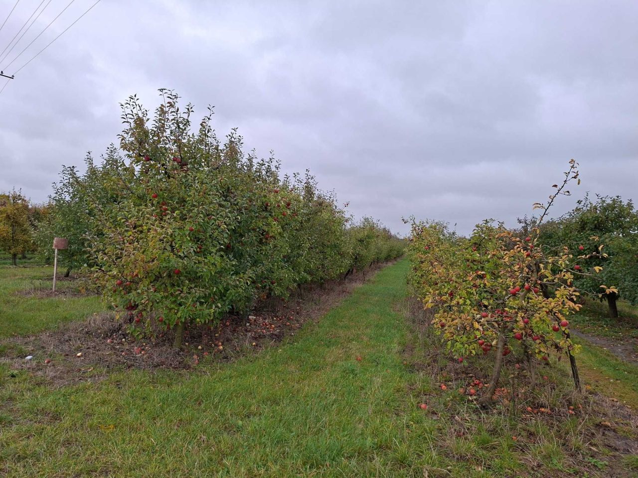 Działka rolna Kamionka