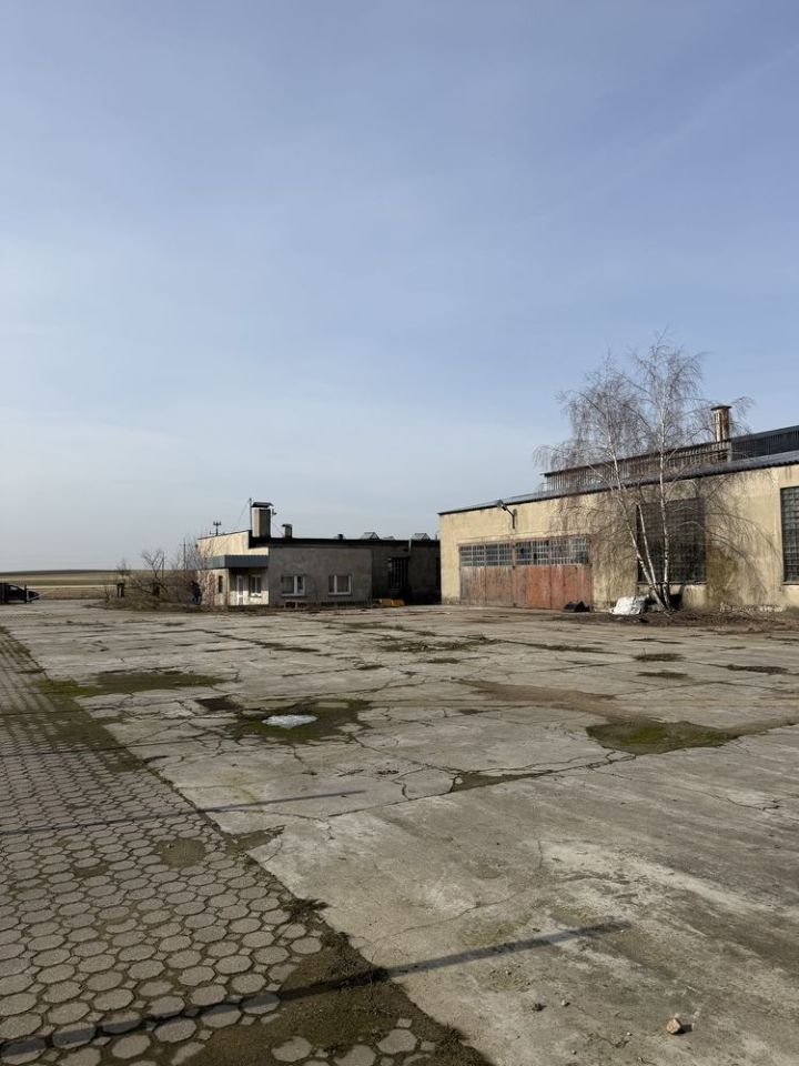 Działka inwestycyjna Suchary. Zdjęcie 2