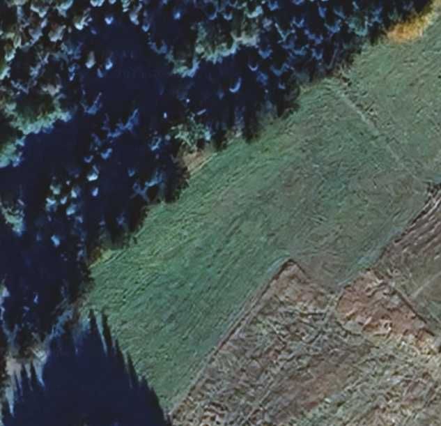 Działka budowlana Bogdanówka. Zdjęcie 2