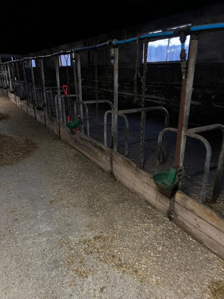 dom wolnostojący Domaradz Kozuby. Zdjęcie 4