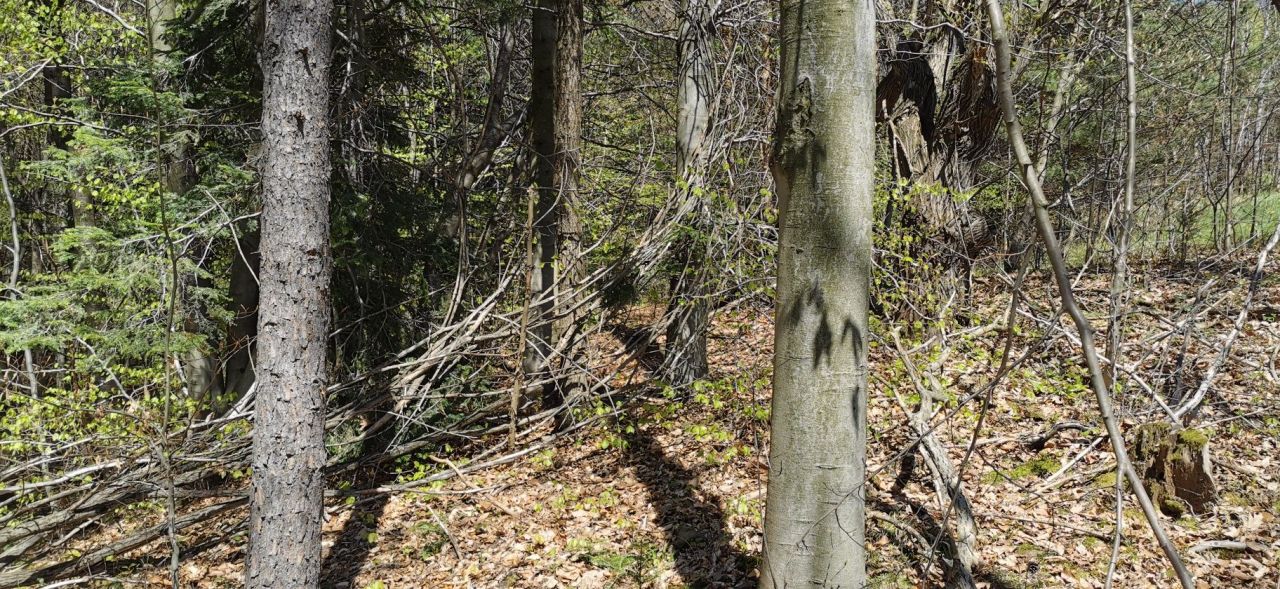 Działka budowlana Myślenice Chełm. Zdjęcie 7