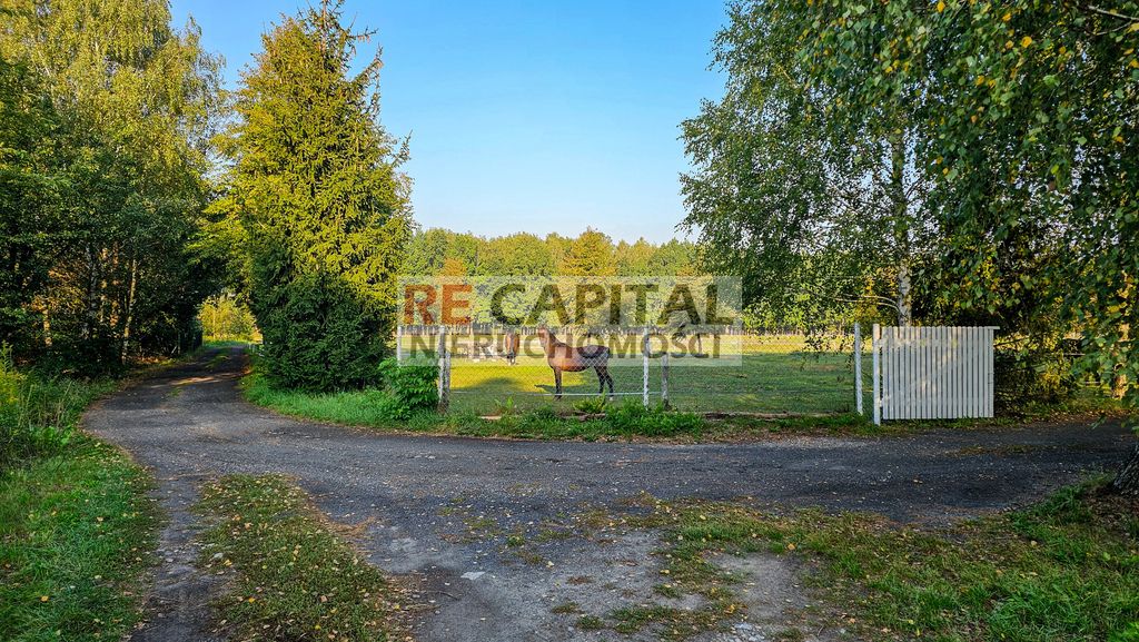 Działka budowlana Borzęcin Duży. Zdjęcie 11