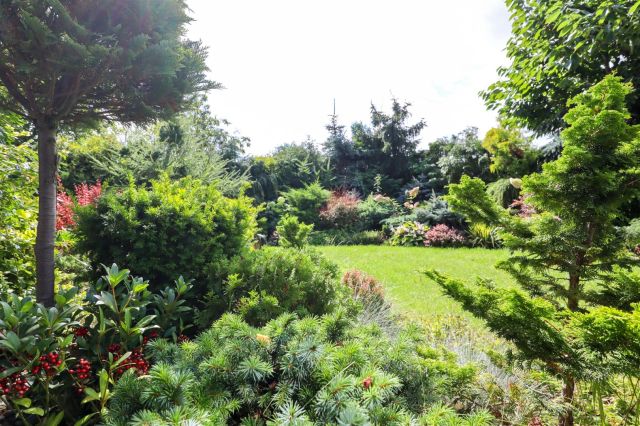 Działka rekreacyjna Nakło nad Notecią. Zdjęcie 6