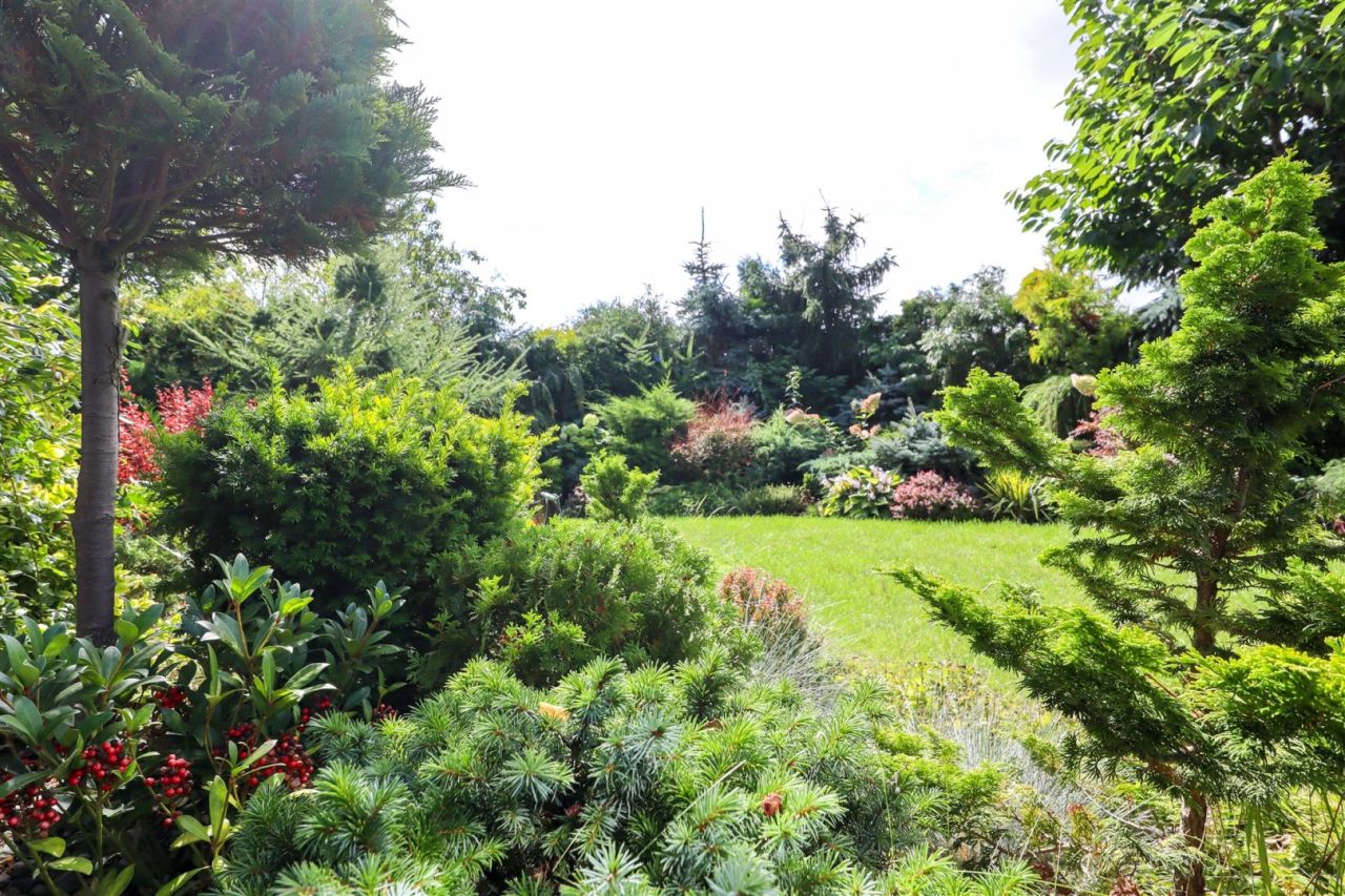 Działka rekreacyjna Nakło nad Notecią. Zdjęcie 6