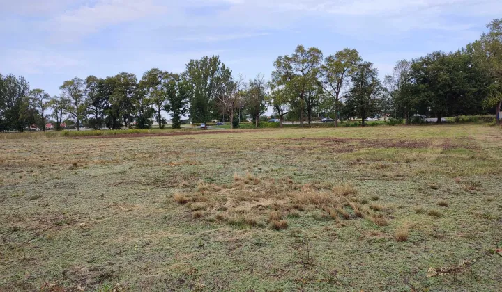 Działka inwestycyjna Stary Dybów, ul. Kardynała Stefana Wyszyńskiego