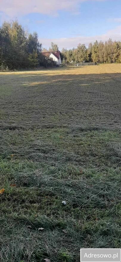 Działka budowlana Jaźwina Janczowice. Zdjęcie 6