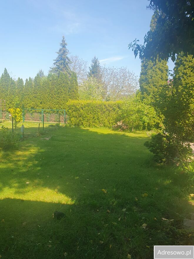 Działka rod Poznań, ul. Pusta. Zdjęcie 9