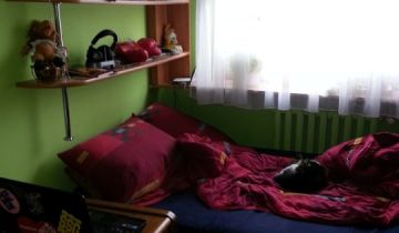 Mieszkanie 4-pokojowe Olecko, ul. Składowa. Zdjęcie 1