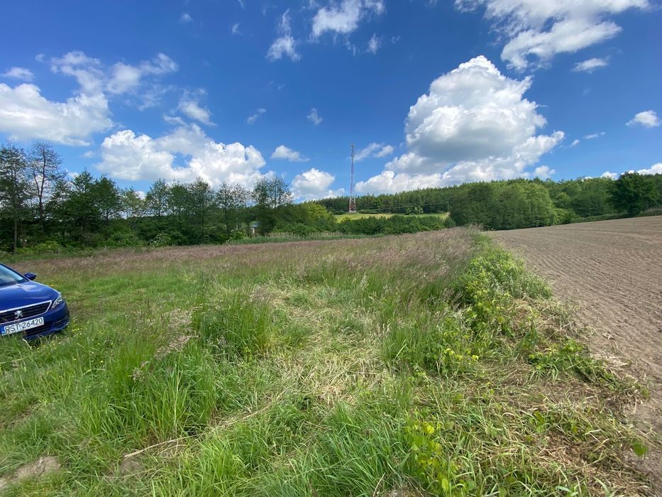 Działka rolno-budowlana Nienadowa. Zdjęcie 3