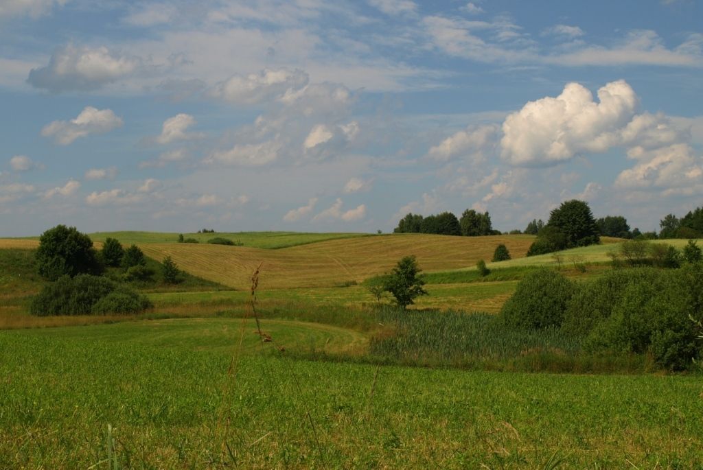 Działka budowlana Jędrychowo Rodowo. Zdjęcie 4