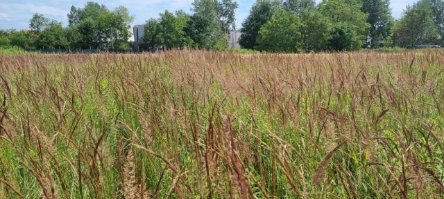 Działka budowlana Michałowice-Wieś. Zdjęcie 3