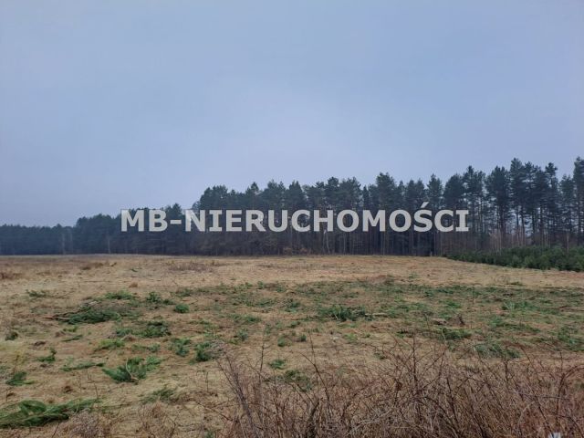 Działka budowlana Woryty. Zdjęcie 2