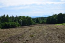 Działka budowlana Raciborsko. Zdjęcie 2