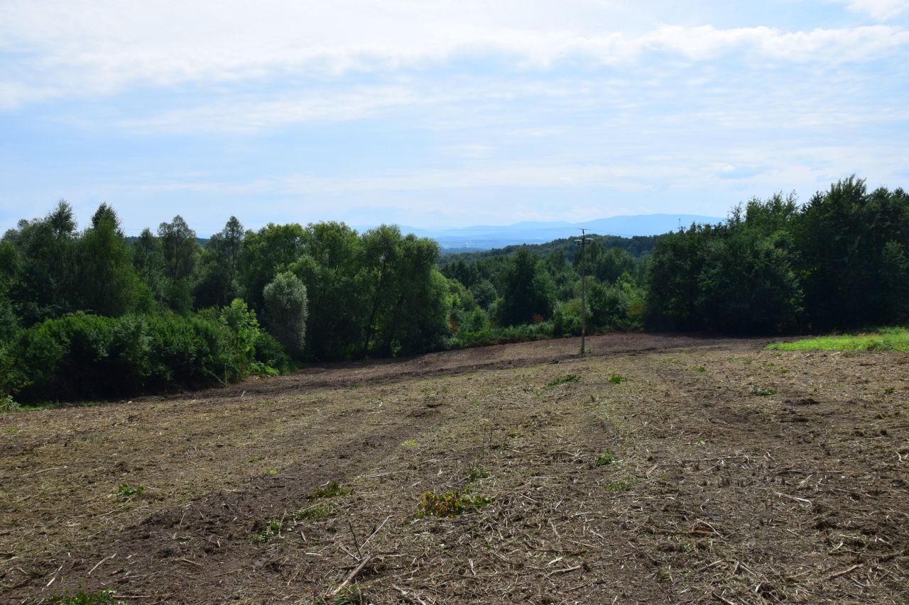 Działka budowlana Raciborsko. Zdjęcie 3