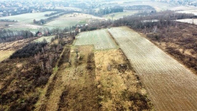 Działka siedliskowa Januszowice, ul. Spacerowa. Zdjęcie 1