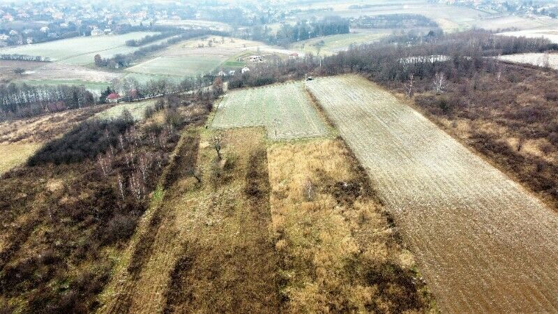 Działka siedliskowa Januszowice, ul. Spacerowa