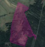 Działka leśna Mękarzów. Zdjęcie 2