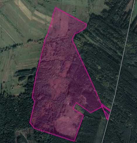 Działka leśna Mękarzów. Zdjęcie 3