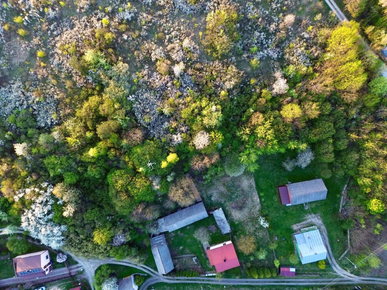 gospodarstwo, 2 pokoje Zdziechowice Drugie. Zdjęcie 8