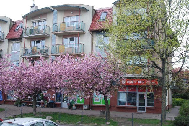 Lokal Szczecin Warszewo, ul. Duńska. Zdjęcie 2