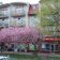 Lokal Szczecin Warszewo, ul. Duńska. Zdjęcie 2