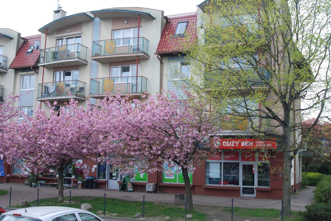 Lokal Szczecin Warszewo, ul. Duńska. Zdjęcie 2