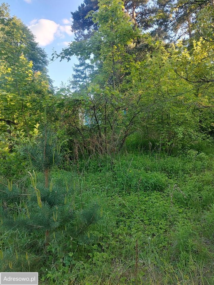 Działka leśna Ustronie, ul. Ustronie. Zdjęcie 2